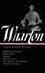 Novellas and Other Writings book jacket